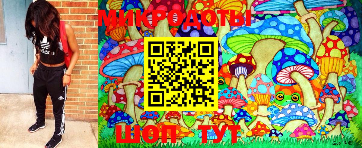 Галлюциногенные грибы мухоморы Касимов
