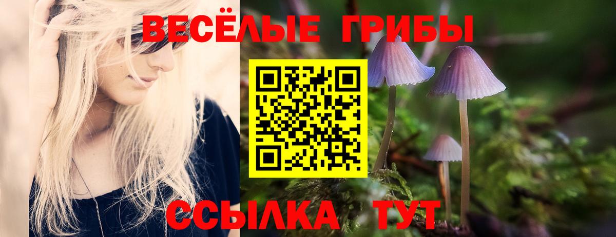 Касимов  Галлюциногенные грибы Magic Shrooms  купить закладку  Вход с VPN 